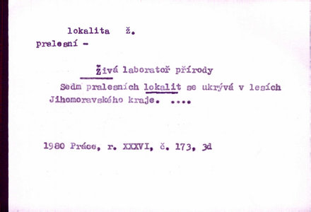 Náhled