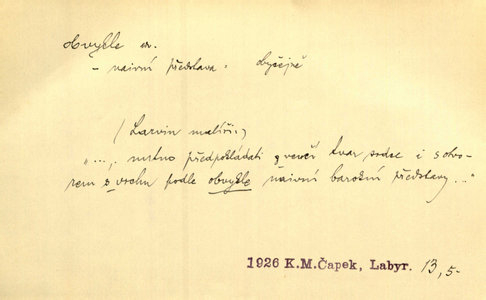 Náhled