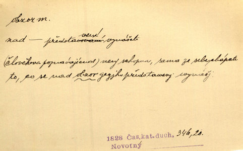 Náhled