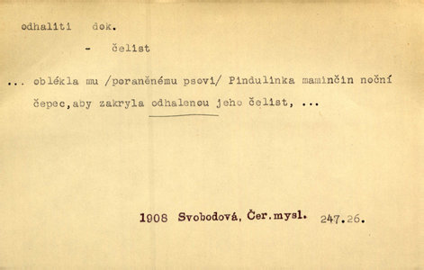Náhled