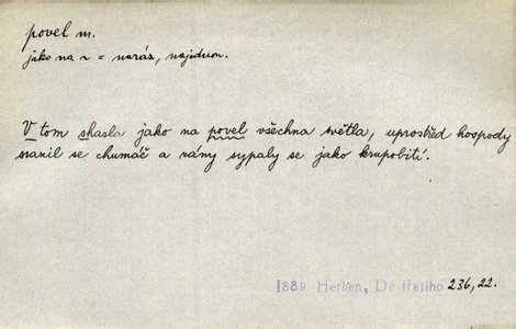 Náhled