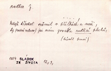 Náhled