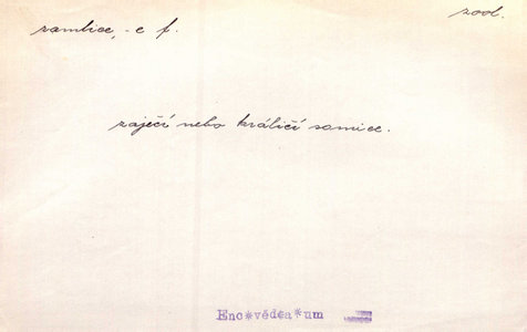 Náhled