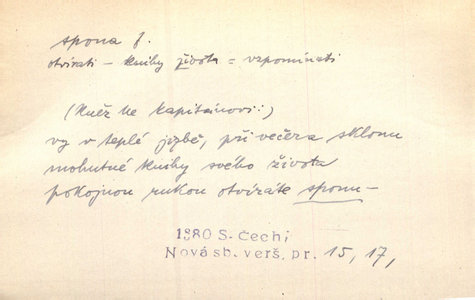 Náhled