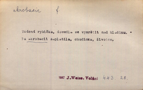 Náhled