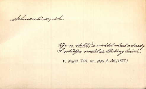 Náhled