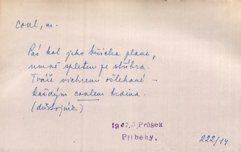 Náhled