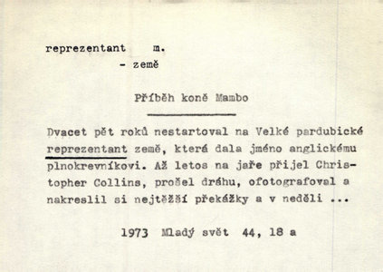 Náhled