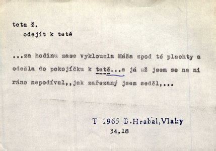 Náhled