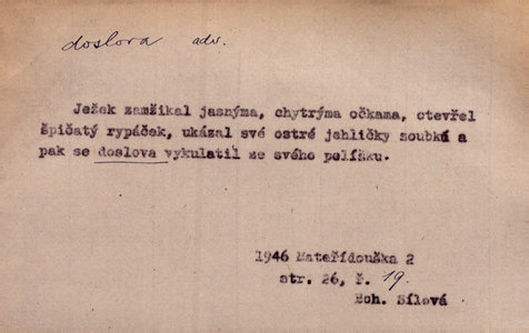 Náhled