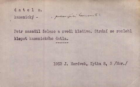 Náhled
