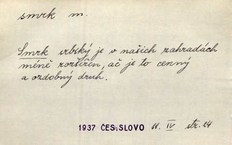 Náhled