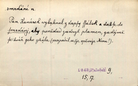 Náhled