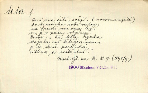 Náhled