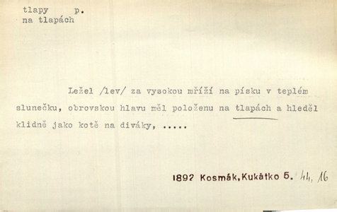 Náhled