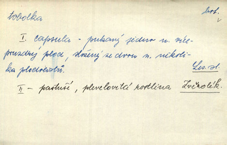 Náhled