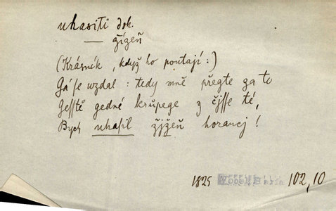 Náhled