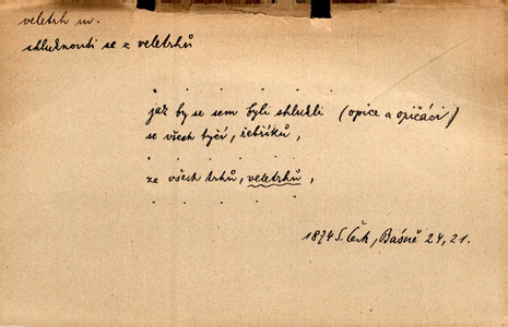 Náhled