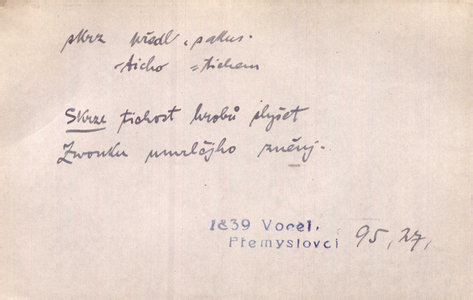 Náhled