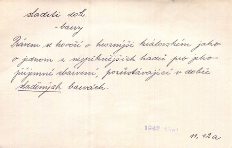 Náhled