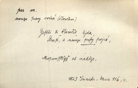 Náhled