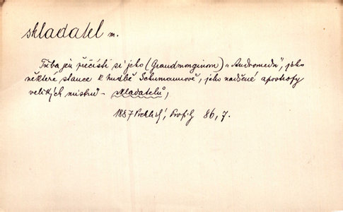 Náhled