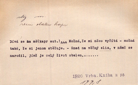 Náhled