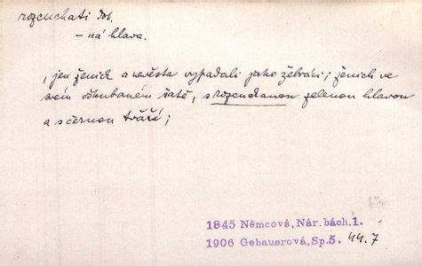 Náhled
