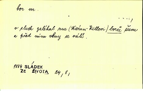 Náhled