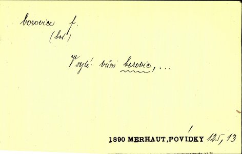 Náhled