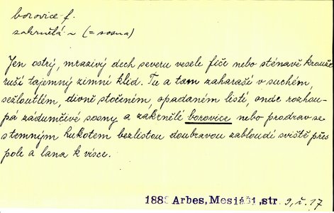 Náhled
