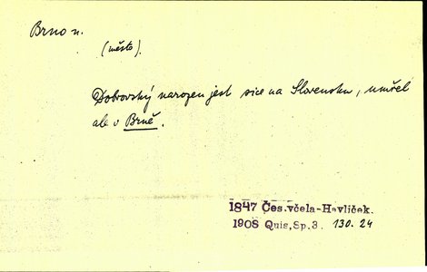 Náhled