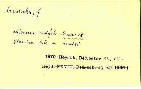 Náhled