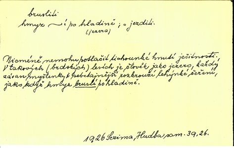 Náhled