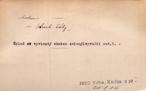 Náhled