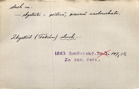 Náhled