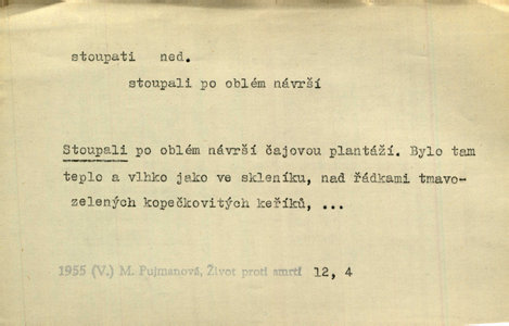 Náhled