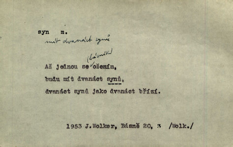 Náhled
