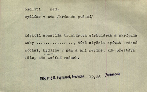 Náhled