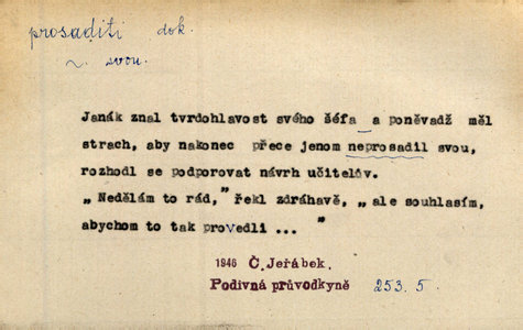 Náhled
