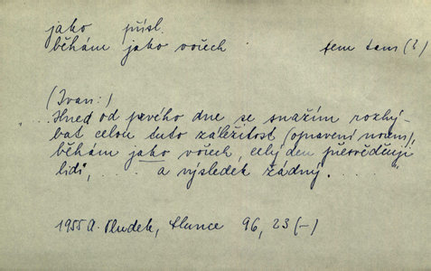 Náhled