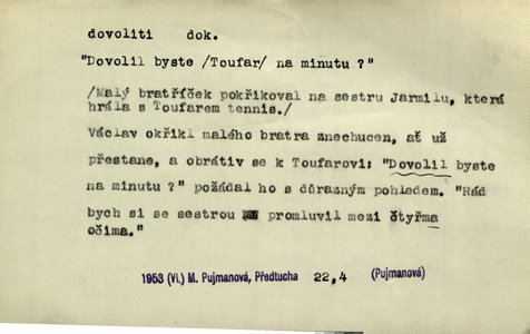 Náhled