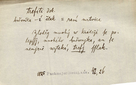Náhled