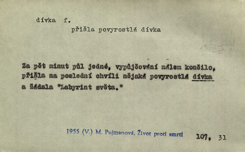 Náhled