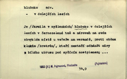 Náhled