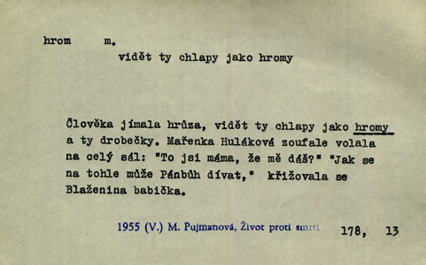 Náhled