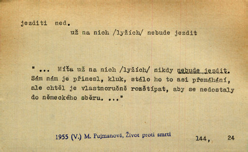 Náhled