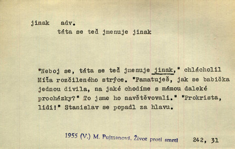 Náhled