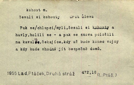Náhled
