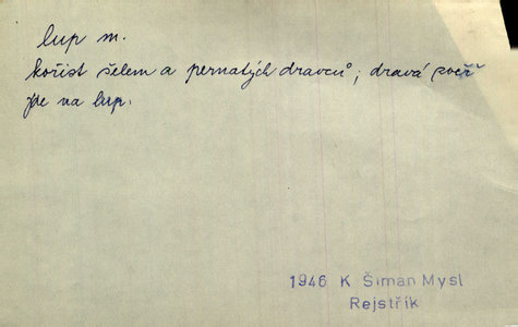 Náhled